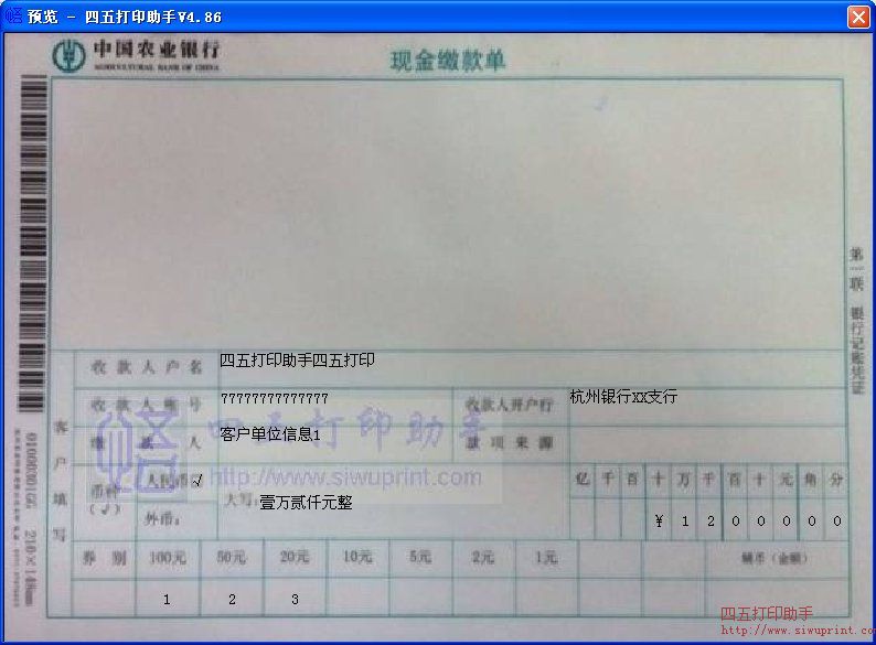 中国农业银行现金缴款单打印模板