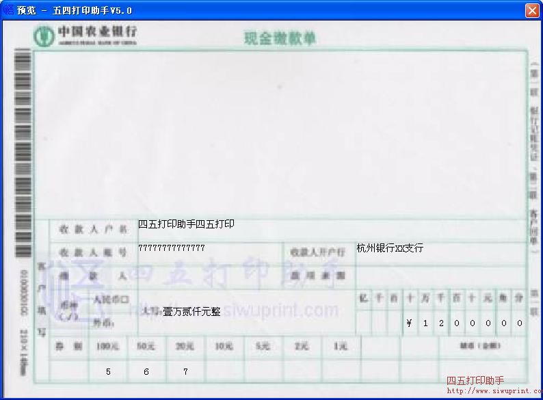 中国农业银行现金缴款单打印模板